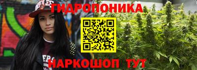 ГАЛЛЮЦИНОГЕННЫЕ ГРИБЫ Кандалакша