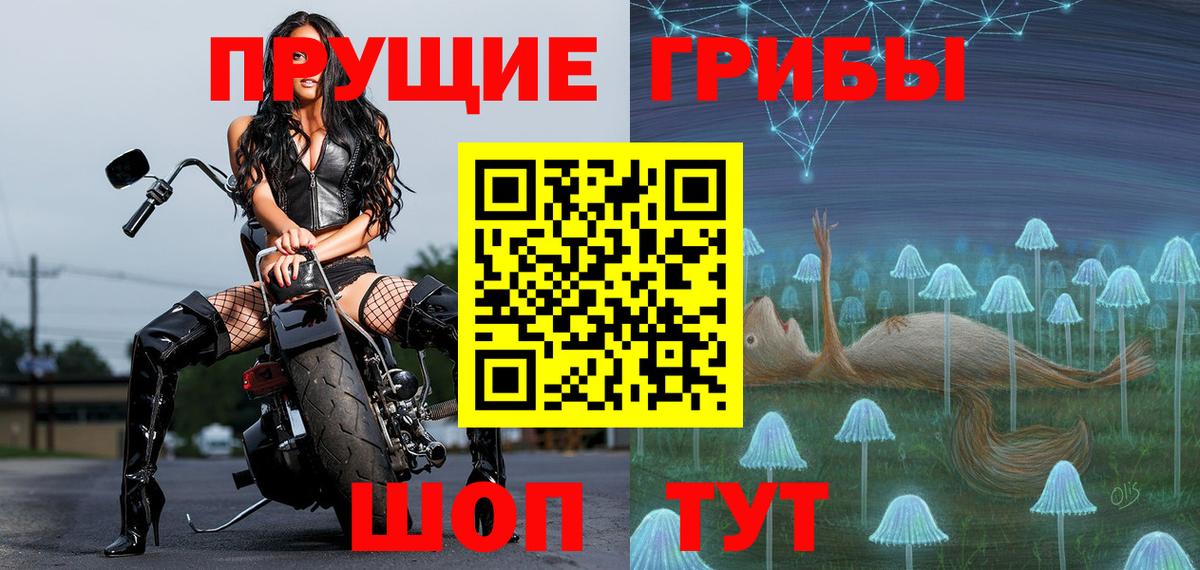 Псилоцибиновые грибы Psilocybe Истра